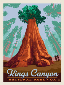 General Grant – Kings Canyon National Park *COMING SOON*