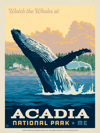 Whale watching – Acadia National Park *COMING SOON*