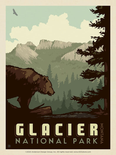 Bear – Glacier National Park *COMING SOON*