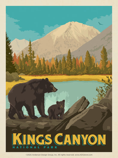 Bears – Kings Canyon National Park *COMING SOON*