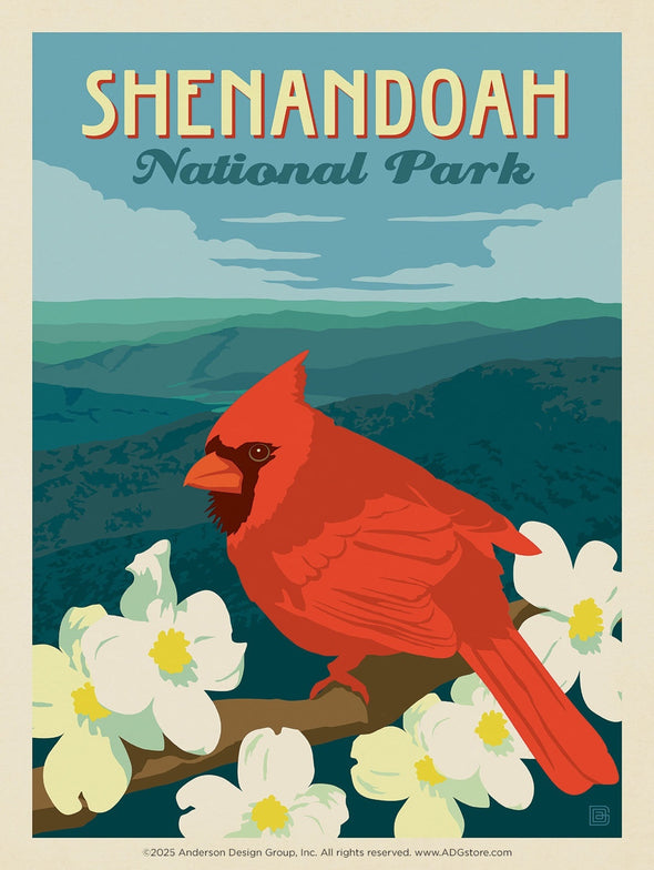 Cardinal on Dogwood – Shenandoah Mountain National Park *COMING SOON*