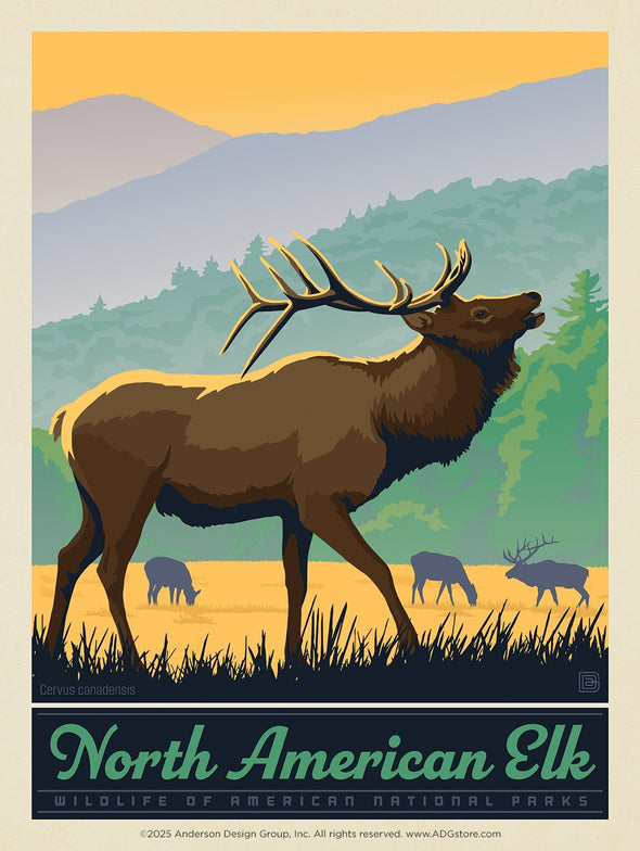 Elk – National Parks Wildlife *COMING SOON*