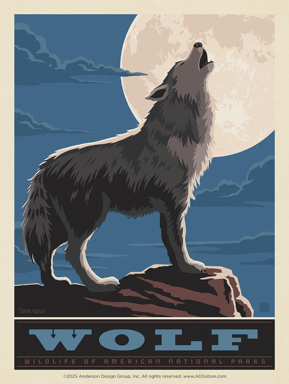 Wolf – National Parks Wildlife *COMING SOON*