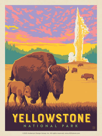 Old Faithful Bison – Yellowstone National Park *COMING SOON*