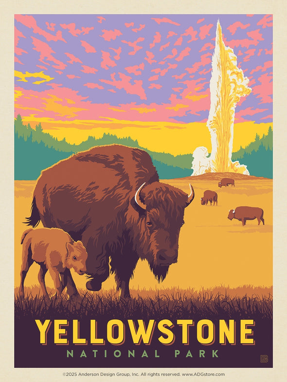 Old Faithful Bison – Yellowstone National Park *COMING SOON*