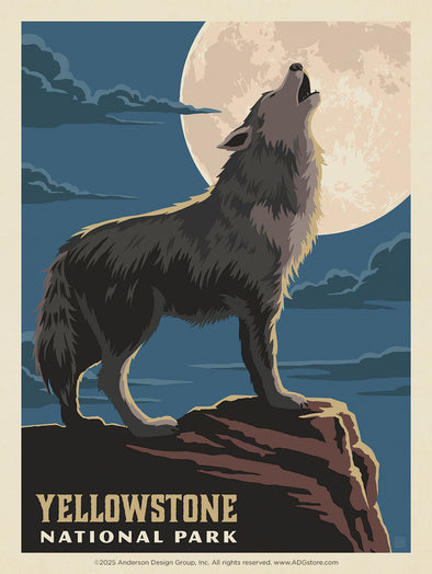 Gray Wolf – Yellowstone National Park *COMING SOON*