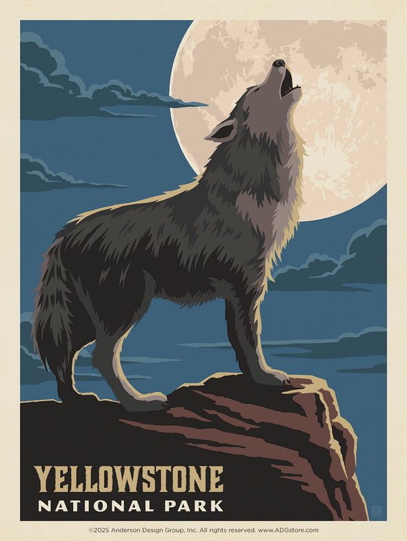 Gray Wolf – Yellowstone National Park *COMING SOON*