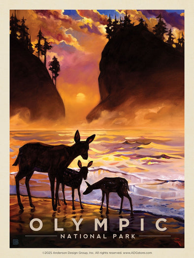 Magical Moment – Olympic National Park *COMING SOON*