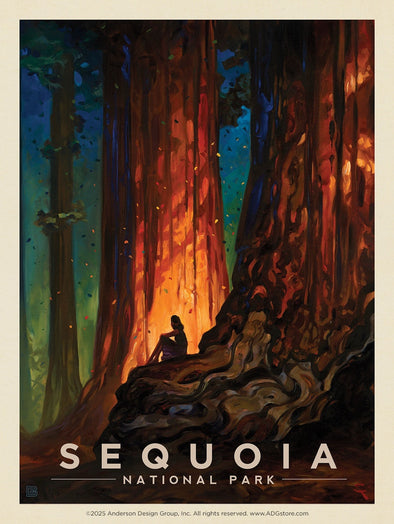 Nature's Cathedral – Sequoia National Park *COMING SOON*